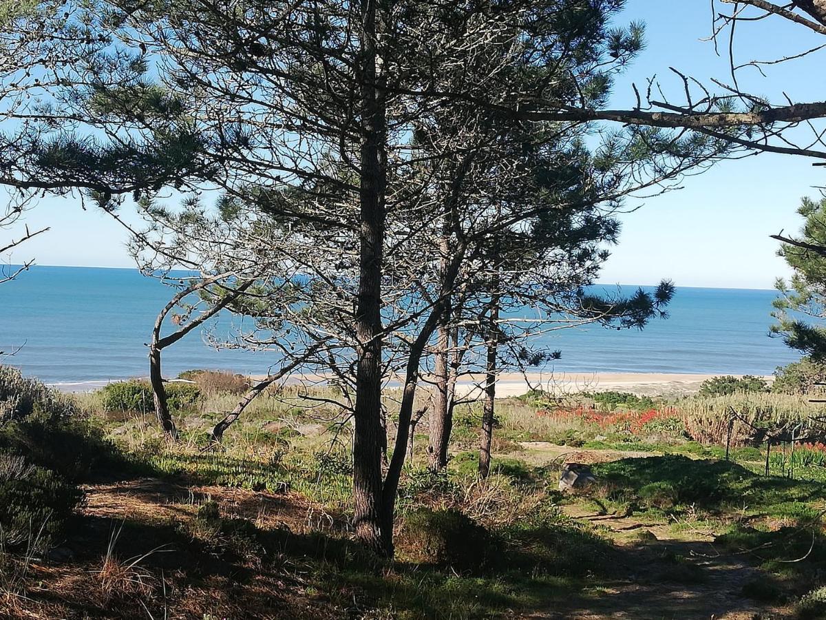 Pearl Of Nazare Daire Dış mekan fotoğraf